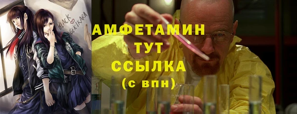стаф Аркадак