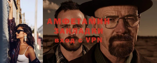 стаф Аркадак