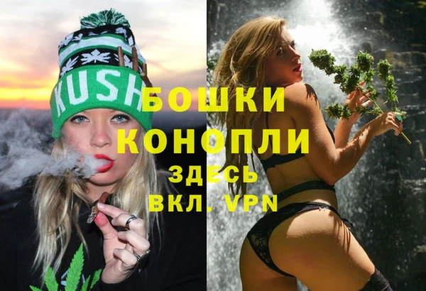 стаф Аркадак