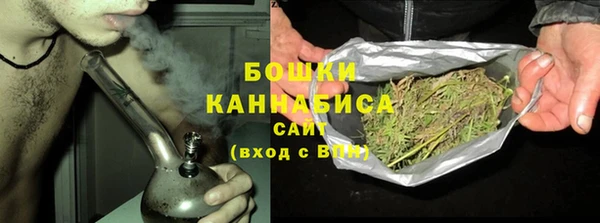 стаф Аркадак