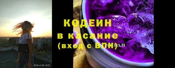 хмурый Арсеньев