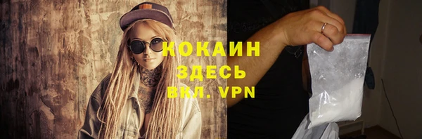 крисы Армянск