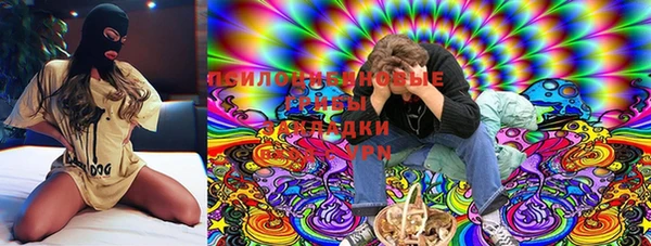 хмурый Арсеньев