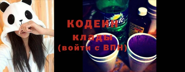 хмурый Арсеньев