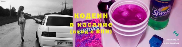 хмурый Арсеньев