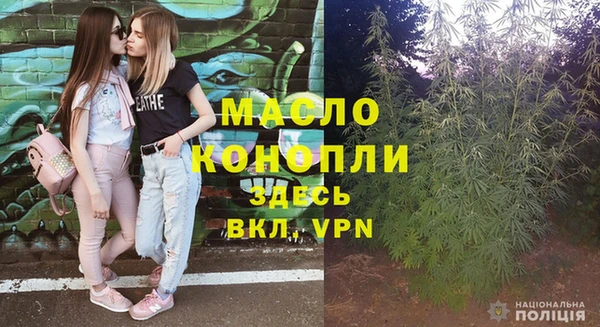 хмурый Арсеньев