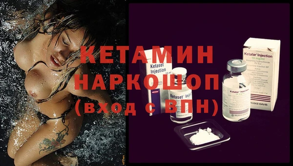 стаф Аркадак
