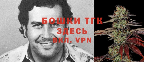 стаф Аркадак