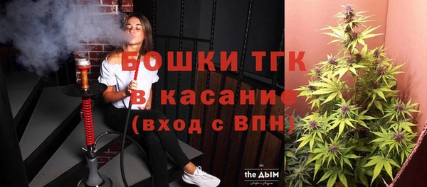 крисы Армянск