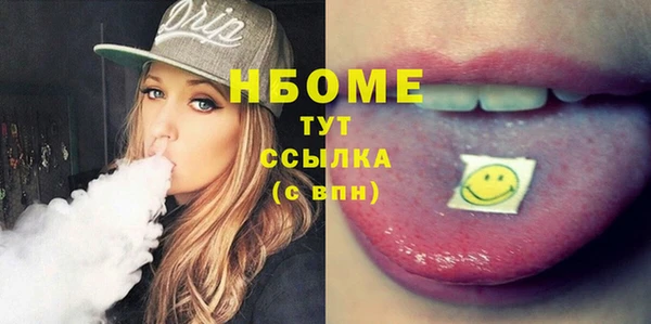хмурый Арсеньев