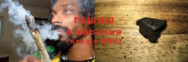 хмурый Арсеньев