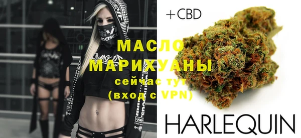 хмурый Арсеньев