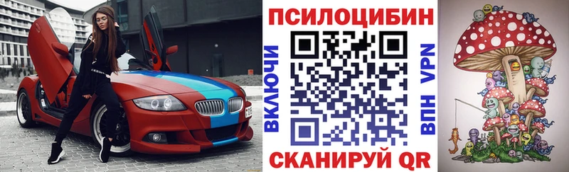 Псилоцибиновые грибы GOLDEN TEACHER  Фатеж 